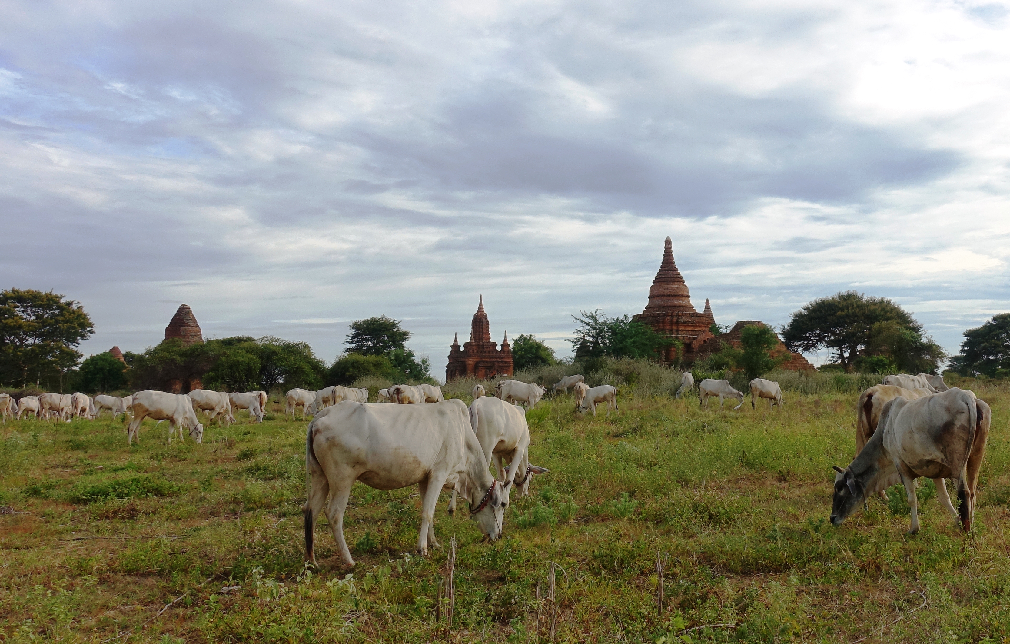  Przewodnik po Birmie: Blaski i cienie Bagan