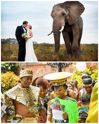 A może by tak ślub w Republice Południowej Afryki? (Agnieszka Malonik)